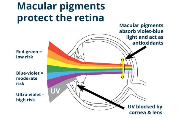 mp eye thumb